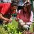 Foto del perfil de red de escuelas de agricultores sustentables Mexico